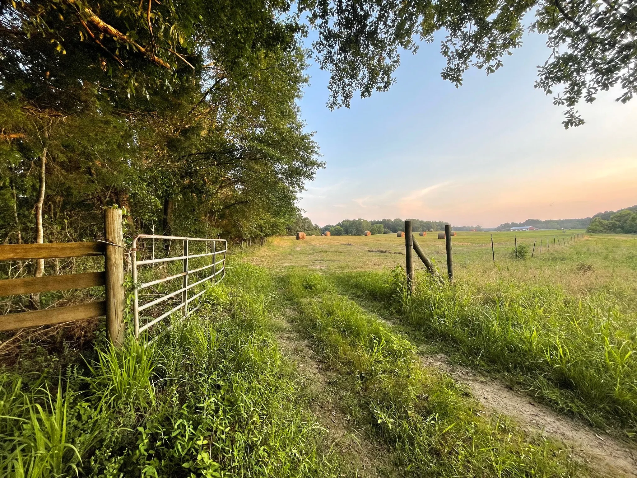 Camping and outdoor adventures at Faye Whittemore Farms